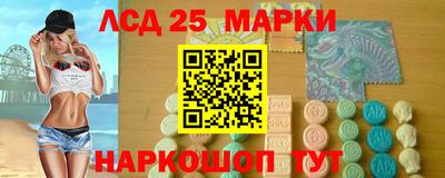 шишки Будённовск