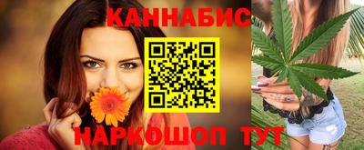 шишки Будённовск