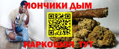 шишки Будённовск